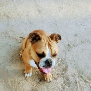 Meet your Posher, Loren